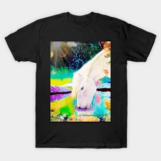 Unicorn T-Shirt